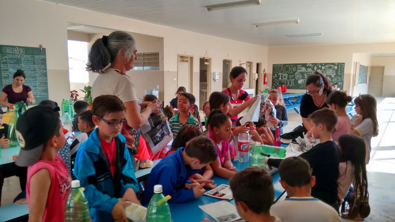 Escola do Campo Messias Sodré de Itararé (SP) incentiva produção de abelhas sem ferrão