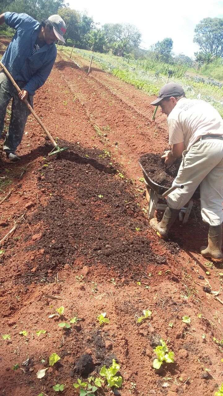 Prefeitura de Itararé (SP) desenvolve projeto piloto de compostagem