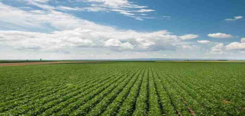 Cadastro Ambiental Rural – CAR é prorrogado até maio de 2016