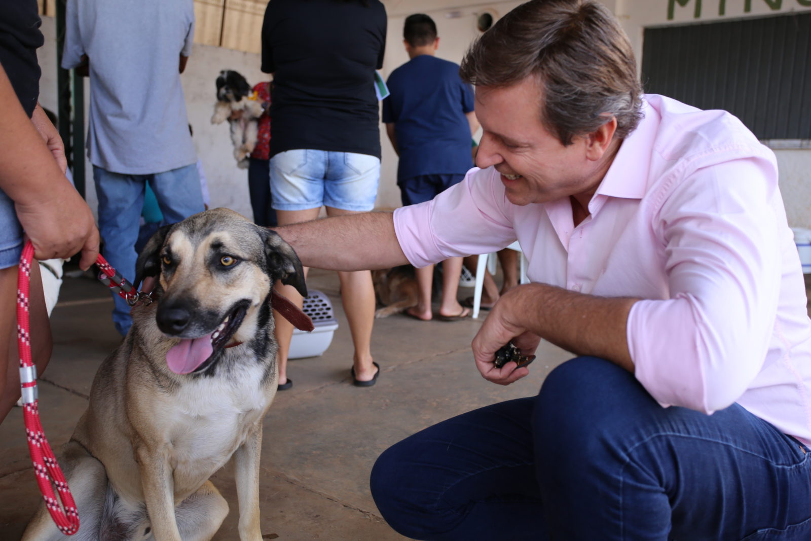 Prefeitura de Itararé (SP) realizará castração gratuita na Zona Rural