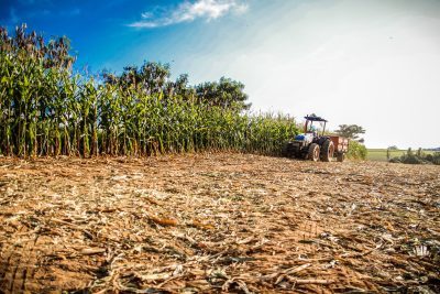 Em Itararé (SP), produtor rural tem até março para o preenchimento da Dipam Em Itararé (SP), produtor rural tem até março para o preenchimento da Dipam