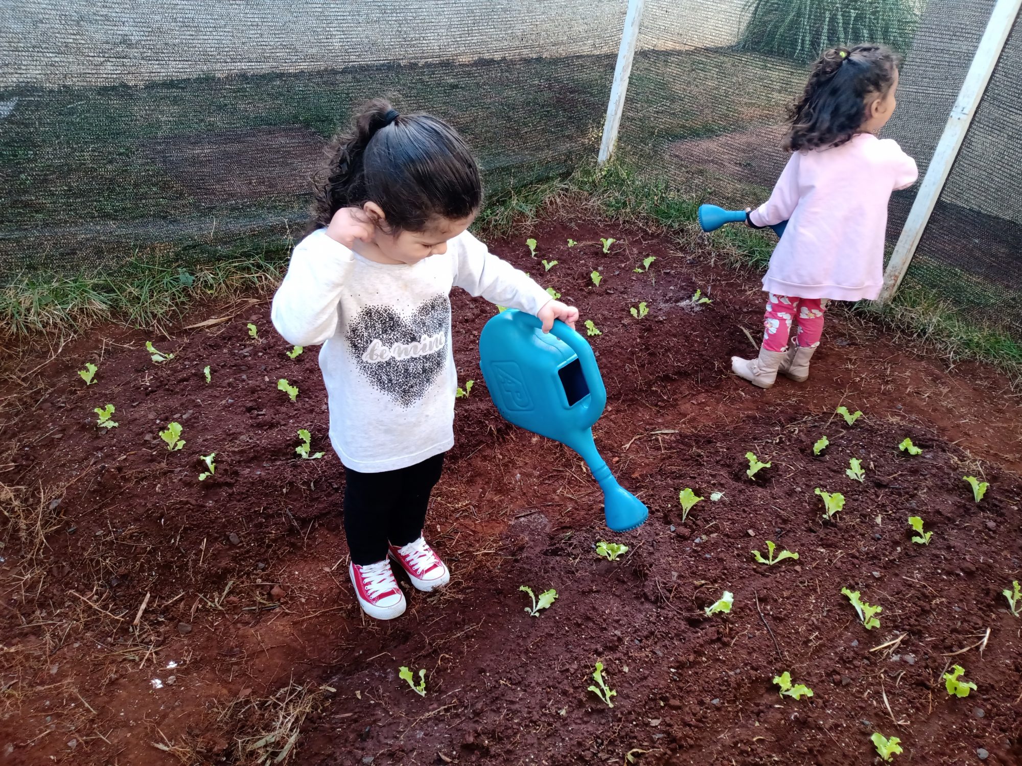 Prefeitura de Itararé (SP) retoma projeto Horta Educativa na Rede Municipal de Ensino