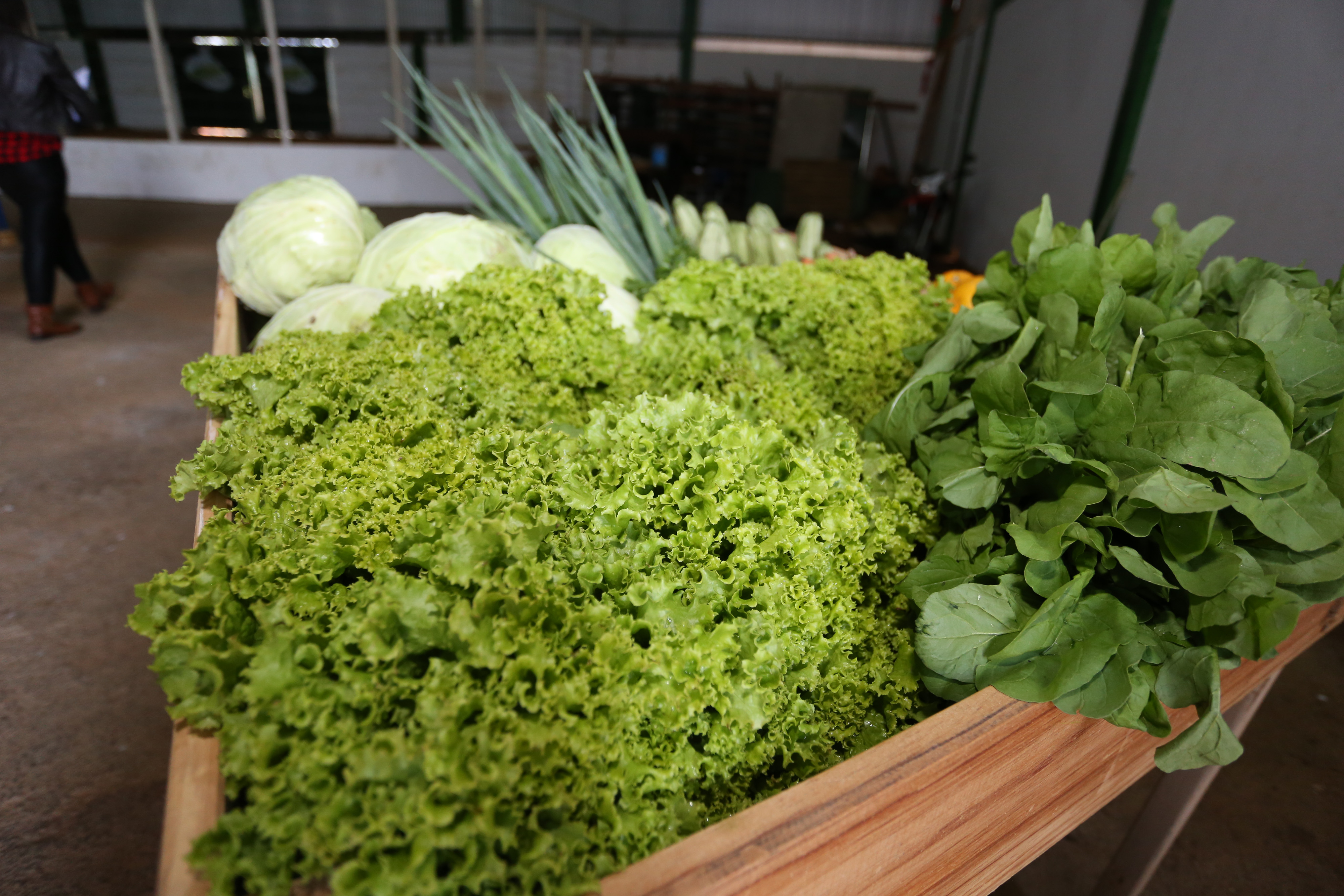 Agricultura de Itararé (SP) distribui caixas de verduras a entidades do município