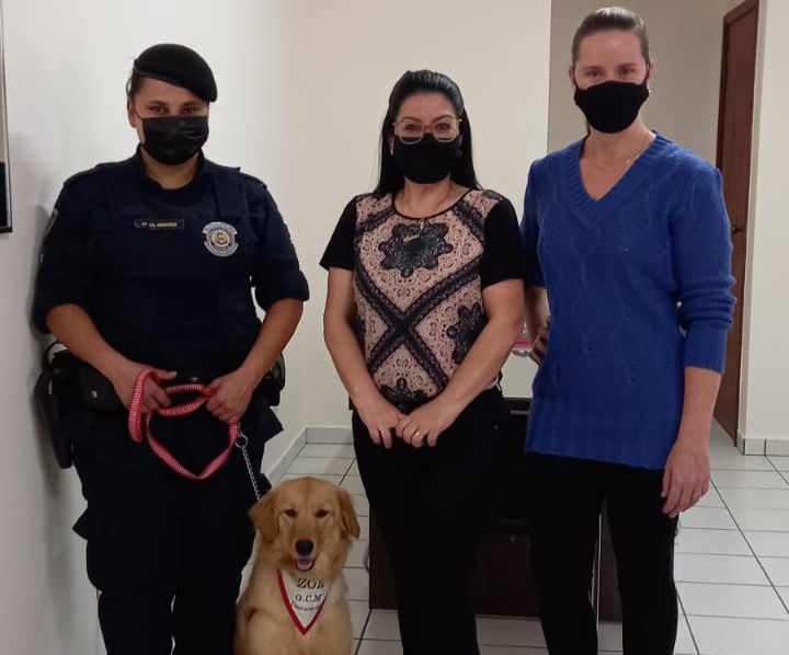 Prefeitura de Itararé (SP) dá continuidade ao projeto Cãoterapeuta Amigo na Rede Municipal de Ensino