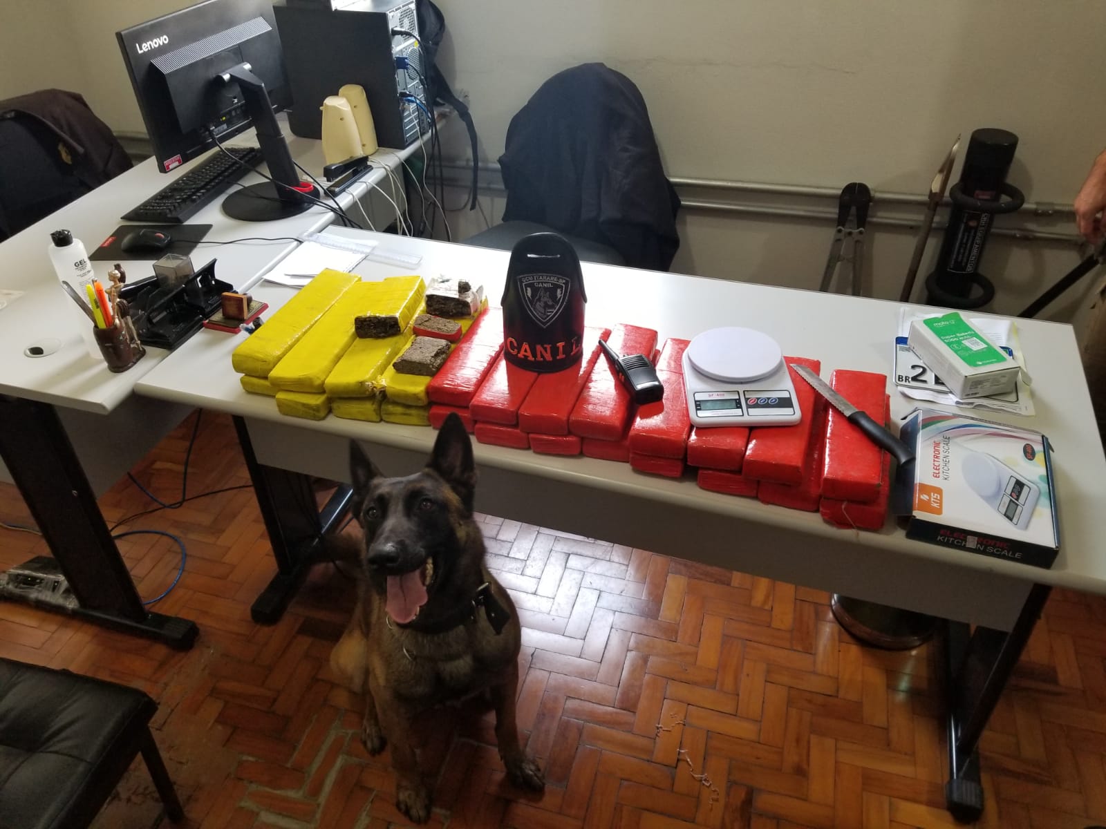 Em mega operação, Polícia Civil, GCM de Itararé (SP) e de Itapeva (SP) prendem homem em flagrante com mais de 21 quilos de maconha