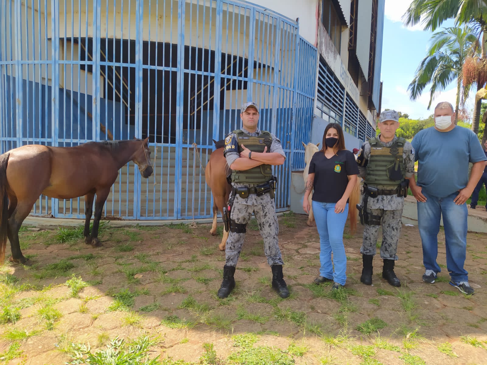 Abandonados e sem alimentos, GCM de Itararé (SP) resgata três cavalos na Vila Santa Terezinha