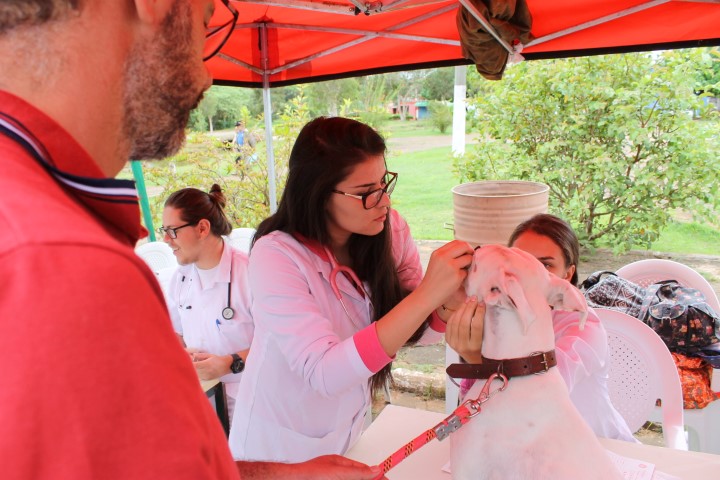 Parque Centenário recebe 2ª edição de consultas veterinárias gratuitas