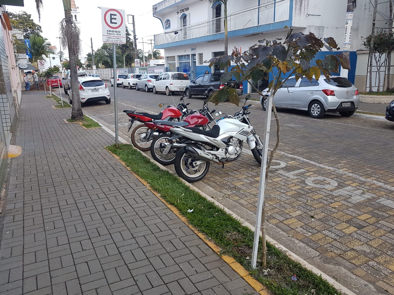 Prefeitura de Itararé (SP) realiza manutenção no piloto de floresta urbana