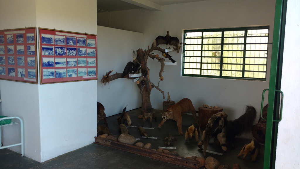 GEPAR realiza atividade no Parque Municipal da Barreira de Itararé (SP)