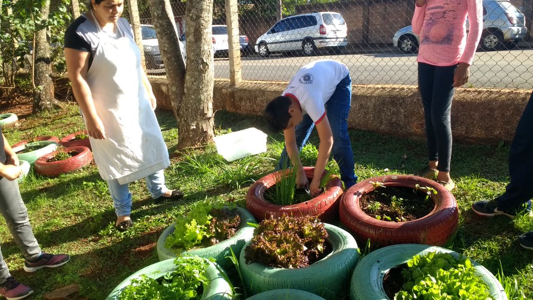 Alunos da EM Ione Martins de Itararé (SP) criam horta e jardim na unidade escolar