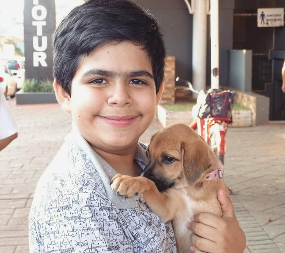Ação da Prefeitura de Itararé (SP) em parceria com Unipa realiza doação de 27 animais