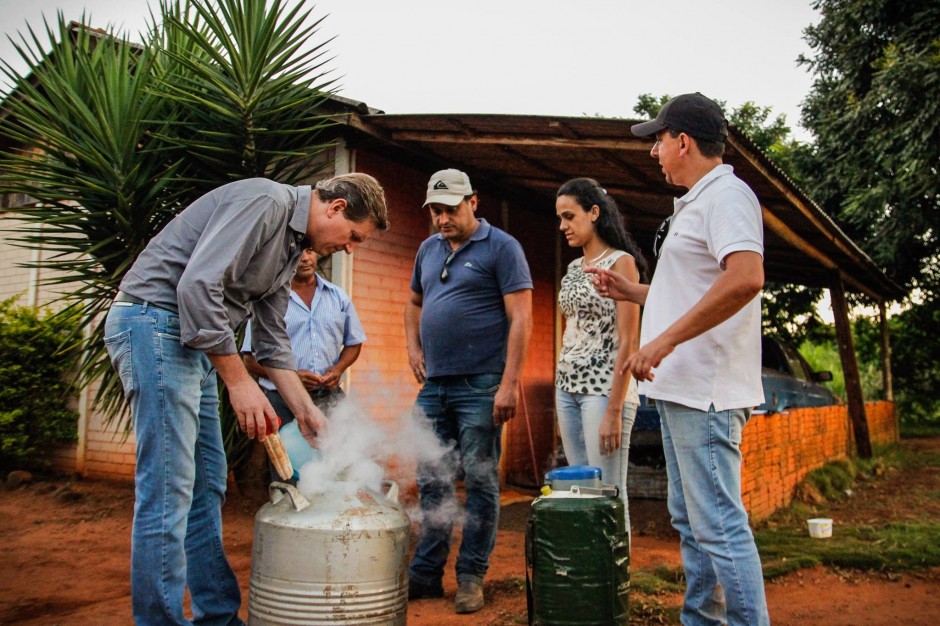 Prefeitura inicia Programa de Melhoramento Genético para gado leiteiro