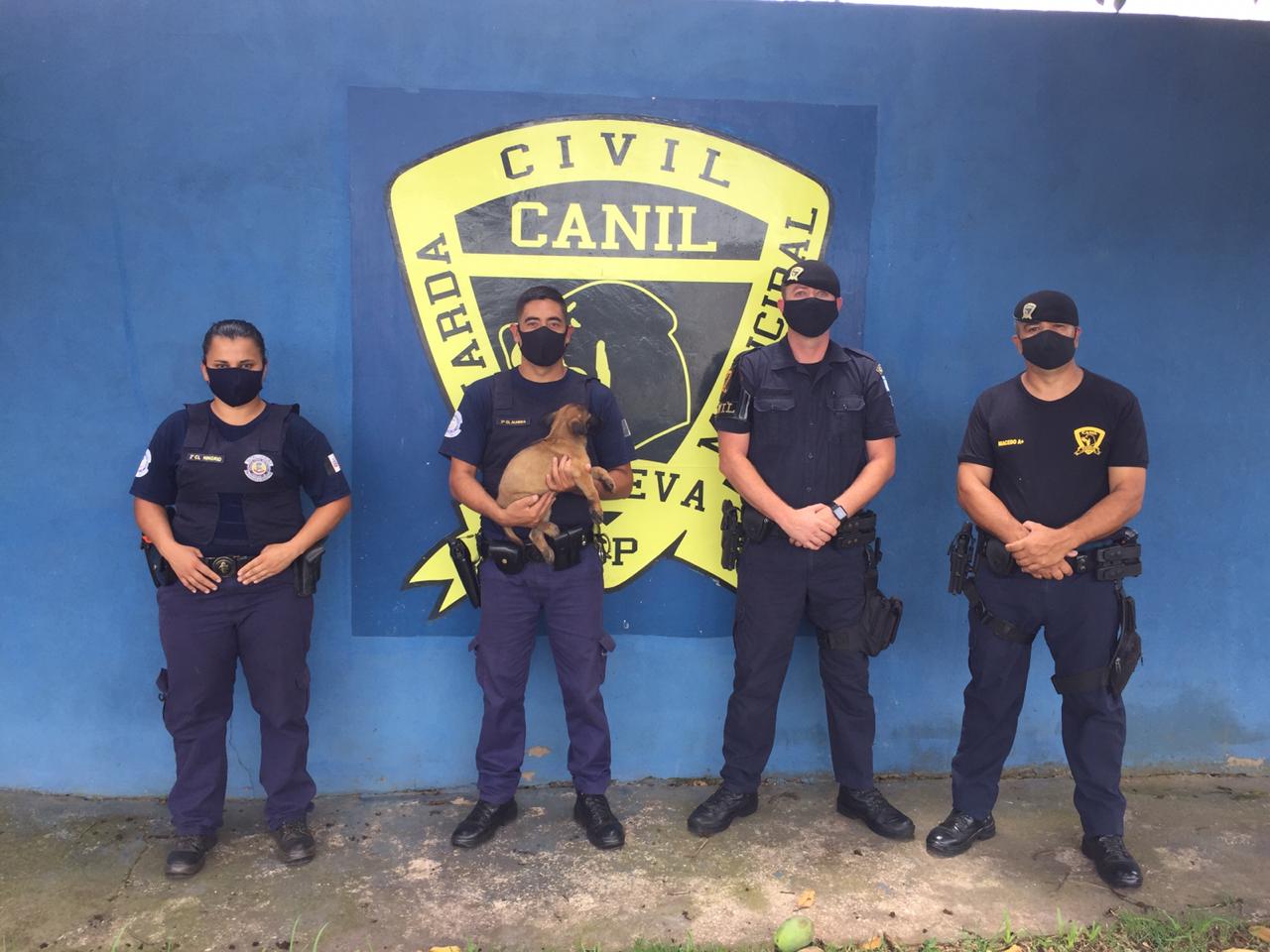 GCM de Itararé (SP) recebe novo filhote para o Canil Municipal