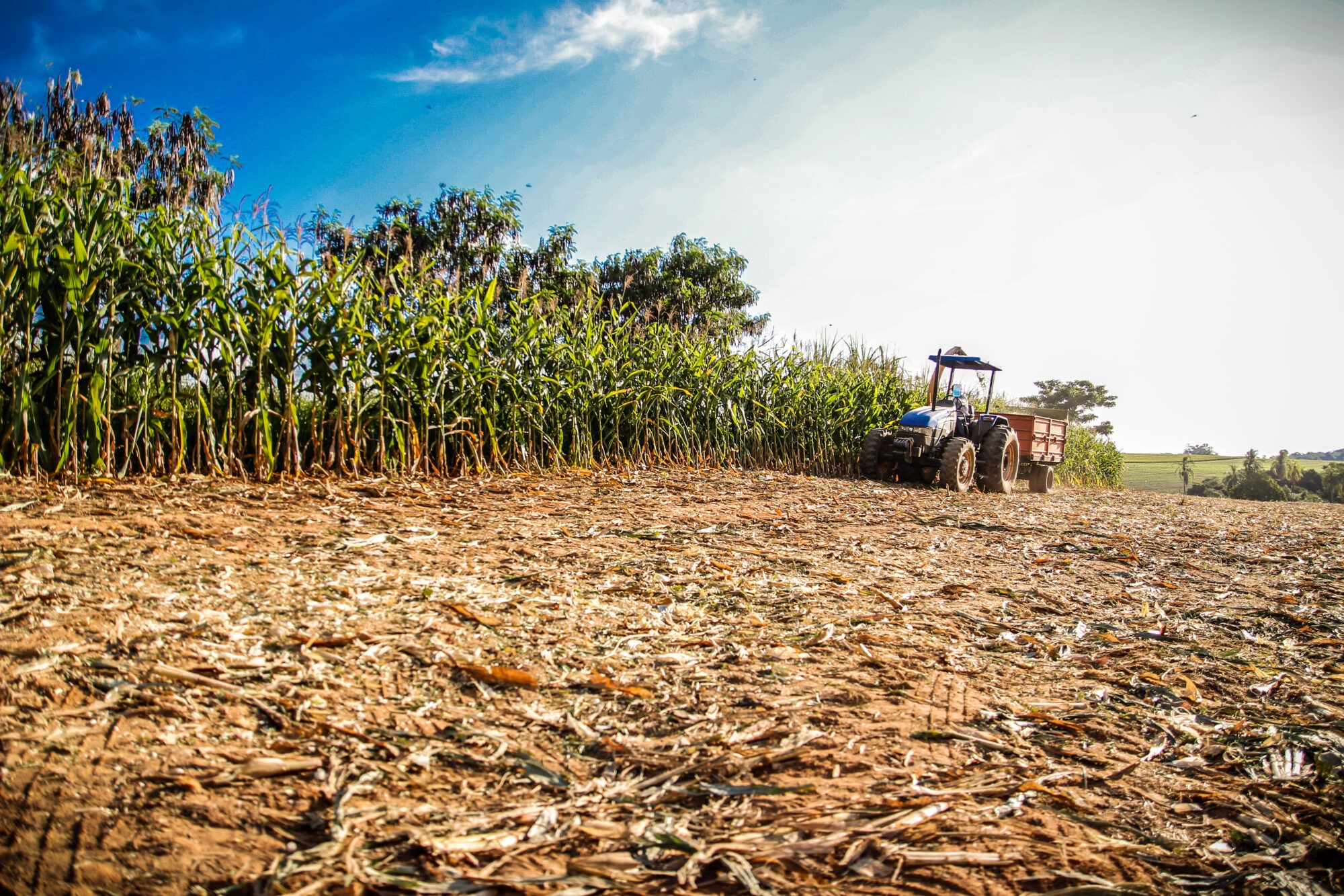 Em Itararé (SP), produtor rural tem até março para o preenchimento da Dipam
