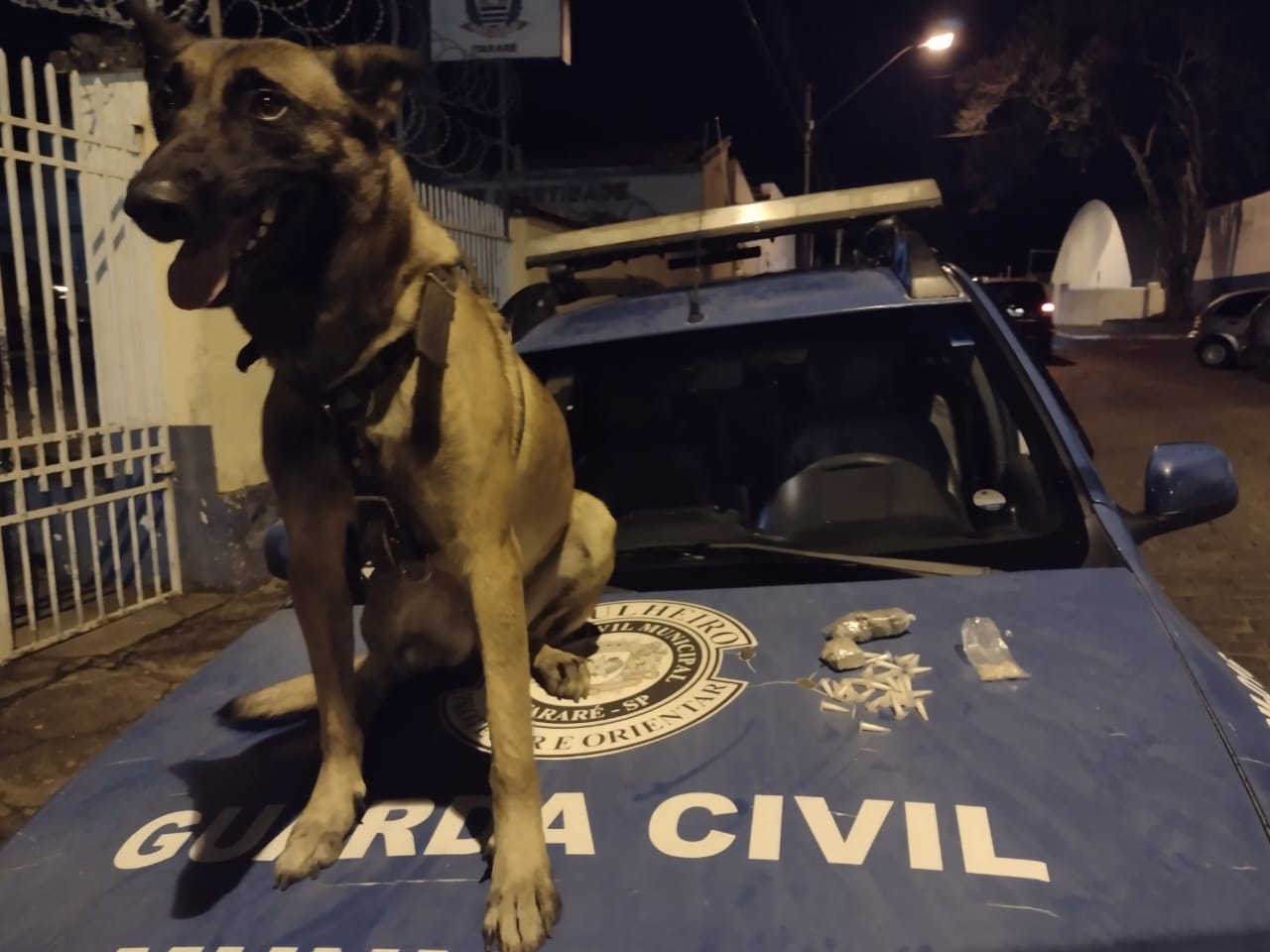 Canil da GCM de Itararé (SP) localiza 80 gramas de entorpecentes em quintal no município