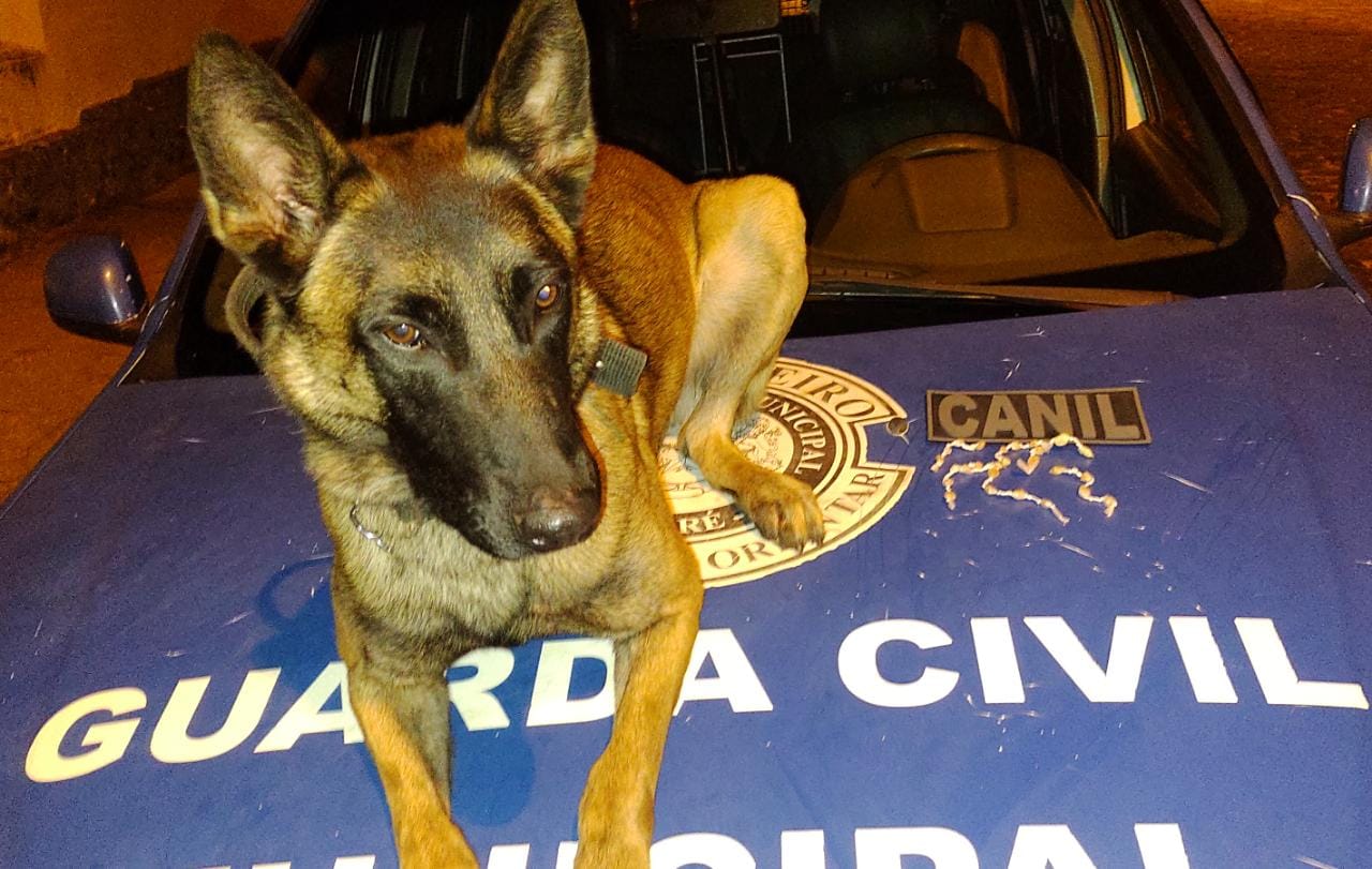 Tráfico de entorpecentes: GCM de Itararé (SP) apreende 26 pedras de crack e conduz menor à delegacia