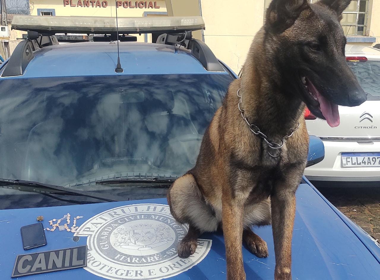 GCM de Itararé (SP) intercepta tráfico de drogas na Vila Osório
