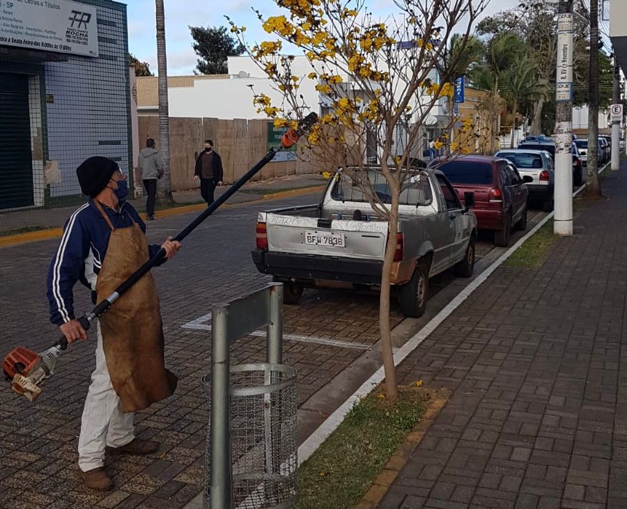 Prefeitura de Itararé (SP) realiza manutenção do piloto de floresta urbana