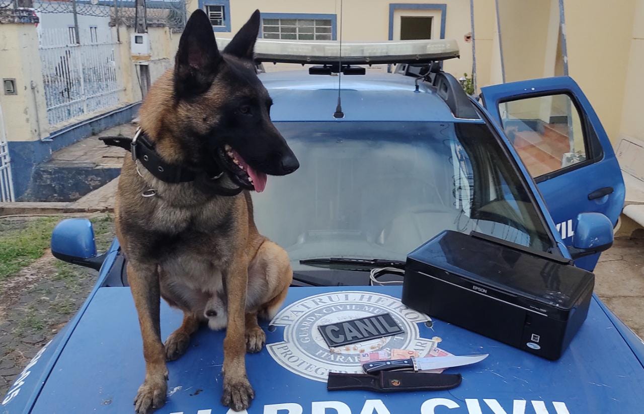 GCM de Itararé (SP) prende indivíduo em flagrante por de tráfico de drogas na Vila Novo Horizonte