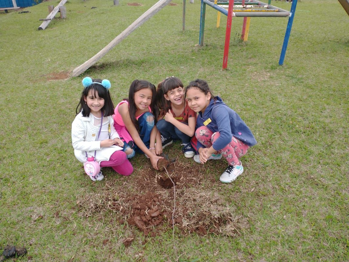 Dia da Árvore: Em Itararé (SP), alunos da Rede Municipal de Ensino plantam mais de 50 mudas em alusão à data